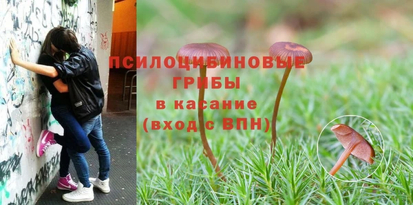 герыч Беломорск