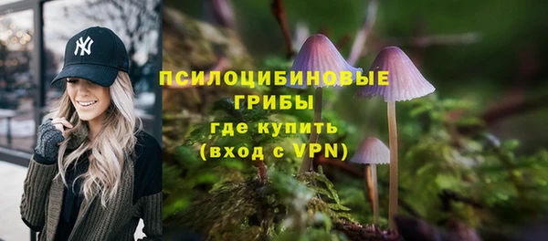 индика Балабаново