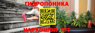 ALPHA PVP Лесосибирск