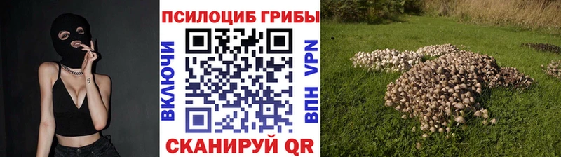 Галлюциногенные грибы MAGIC MUSHROOMS  Маркс 