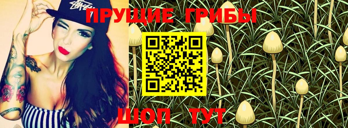 Псилоцибиновые грибы Psilocybe  Вход с VPN  Маркс 